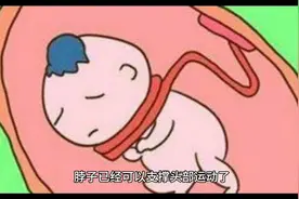 胎儿11-12周的形态与变化#育儿经验分享图片