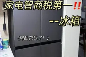 冰箱哪个品牌最耐用质量好?2024十大名牌冰箱排名榜出炉:建议收藏图片