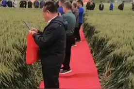 走红毯的农业专家图片