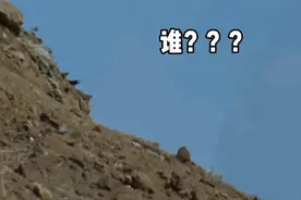 谁？找我？动态表情包图片