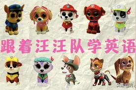 汪汪队十大角色英文怎么说 阿奇天天毛毛贝贝是什么狗狗图片