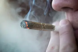 细杆烟的危害比粗杆烟小？实验揭晓答案，结果可能和你想的不同图片