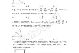 「九年级数学」6.4 探索三角形相似的条件（培优练习）图片