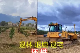 退林、退塘、退宅还耕继续？土地“大换血”进入倒计时，早准备图片