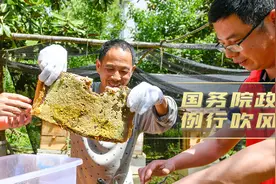 困难群众可以申领哪些补贴、救助金？社保缓缴政策会影响养老金发放吗？看这里！图片