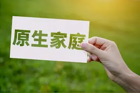 从拉康无意识理论来看待“原生家庭”这一概念图片
