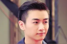 刘昊然考编上岸后，陈晓体制内身份曝光，果然好男人都上交国家了图片