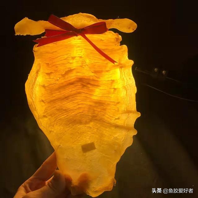 海鳗鱼胶多少钱一斤 2026年海鳗鱼鱼胶功效与作用
