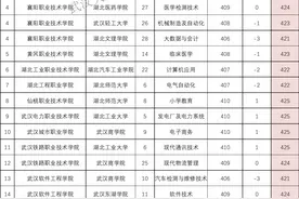 2023湖北高职高专物理类填报攻略：省内高校共分5档，投档线预测图片