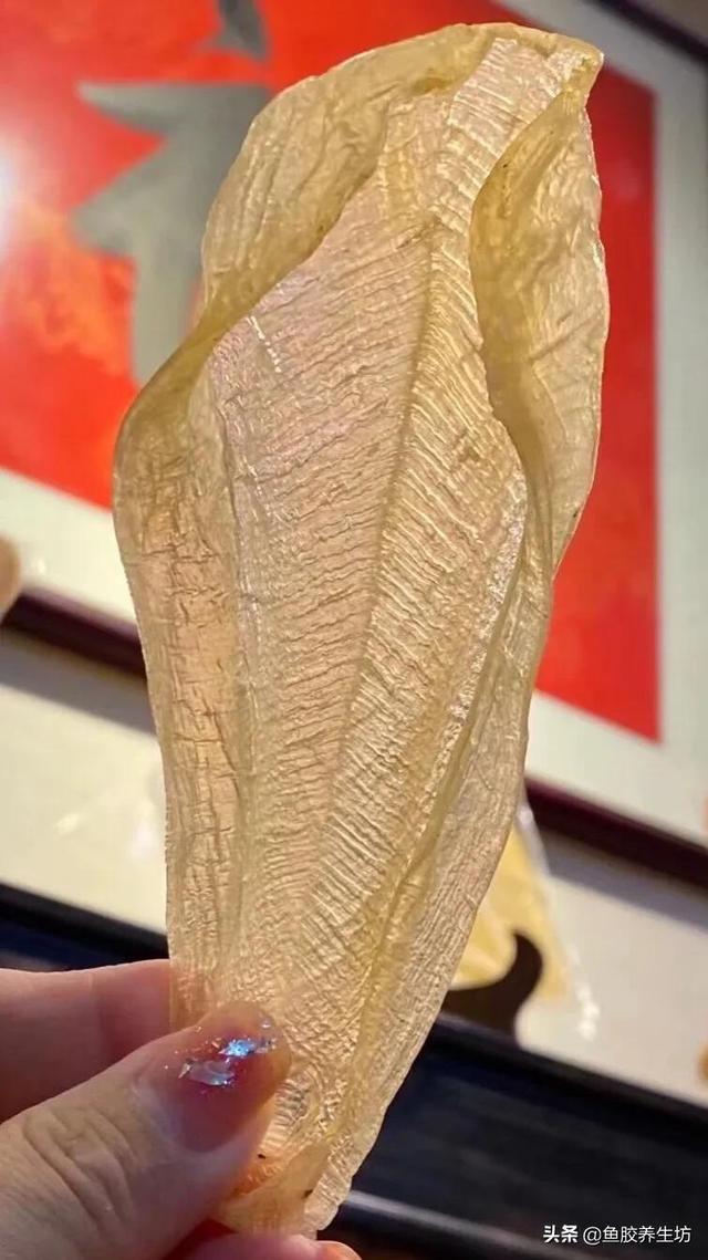 白花胶煲汤花胶溶解 2026年白花胶煲汤花胶溶解了怎么办