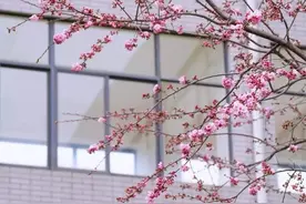 你给了我希望却又为何消失了图片
