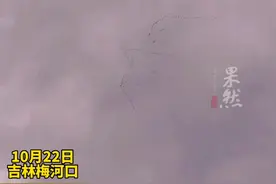 大雁成群向南迁徙，在空中列阵成一只大鸟图片