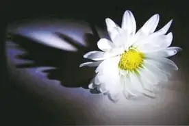 给奶奶的一封悼词图片