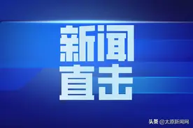 太原：大蛇上树“乘凉”消防妥善处置图片