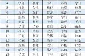 爆款虎宝宝名字来了图片