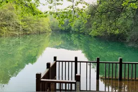 不去拥挤的东湖，武汉地铁直达的“野”公园，遛娃和散步很安逸图片
