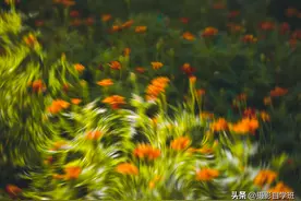 手机摄影前，要做啥准备工作？事半功倍才能让你照片美丽加倍图片