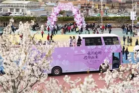 为了让你认识我，我已在这里等了600年！图片