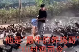 甘肃95后鸡司令，指挥上千只鸡摆出各种造型，场面极为壮观图片