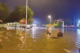 最美背影！暴雨中，河北67岁老人路口撑伞2小时图片