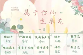 属于你的本命生辰花，365天日日不同（上）图片