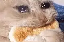 一些好玩的“大哭”表情包图片