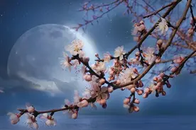 春江花月夜图片
