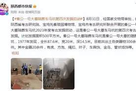 秦公一号大墓陪葬车马坑第四次发掘启动图片