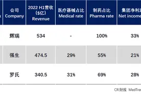 医疗领域Top10！辉瑞称霸全榜，雅培器械第一图片