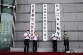 北大荒农垦集团，前身：黑龙江农垦总局，这个企业了不起图片