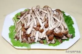 特产早知道——黎川茶树菇图片