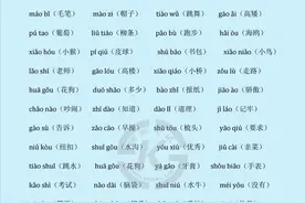 暑假预习：一年级汉语拼音（声母、韵母、易混淆音、拼读练习）图片