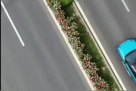 （视频）太原滨河自行车道：一路生花模式开启，市民穿行其间好似画中！图片