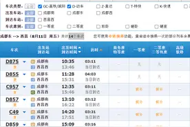 感觉高铁票越来越难买了？这个暑假你坐高铁了吗？图片