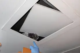 住户把钥匙藏在牛奶箱里，竟给小偷大开方便之门图片