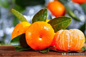 橘子红了，橙子黄了图片
