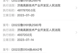 8旬老人购城投公司100万元“城投债”，到期后本金难拿回，委托律师两次向法院申请立案被拒图片