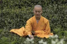 河南985才女释正孝同，因佛祖托梦执意出家为尼，至今仍不愿还俗图片