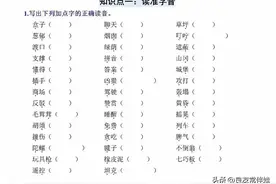 二年级语文下册第四单元【知识点梳理】字词句中心思想练习附答案图片