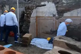 庞贝城出土“鹰嘴豆”，它有几千年栽培历史，为何国人不喜欢吃它图片