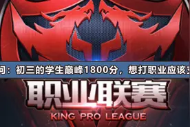 家长求助：“我孩子是荣耀王者1860分，这水平能打职业吗？”图片