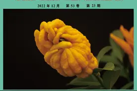 黄芪活性成分抗肿瘤作用机制图片