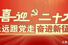 党的十九大以来大事记（上）图片