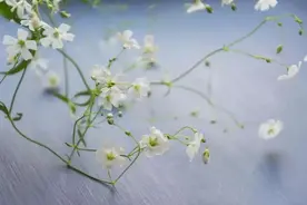 人活着，就三句话！（大总结）图片