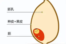 网上教大家做无糖米饭，真的能控糖么？图片