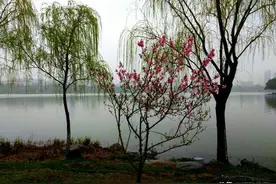 散文：春天的风，离不开雨的滋润，春天的雨，离不开风的轻抚图片