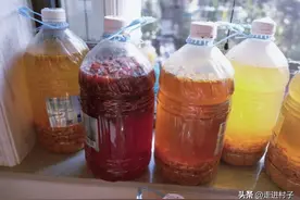 酵素水如何制作？分享给大家我们制作酵素水的两种方法，简单实用图片