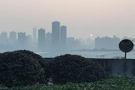鸡眼怎么办 胼胝是什么 跖疣怎么治疗图片