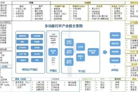 国内智慧灯杆市场分析报告：智慧灯杆系统产业链图片
