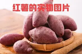 为什么农村的红薯越来越贵了图片